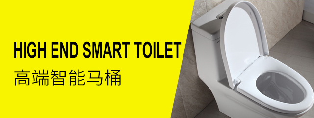 High end smart toilet